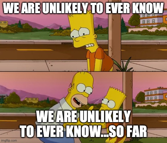 Simpsons so far | WE ARE UNLIKELY TO EVER KNOW; WE ARE UNLIKELY TO EVER KNOW...SO FAR | image tagged in simpsons so far | made w/ Imgflip meme maker