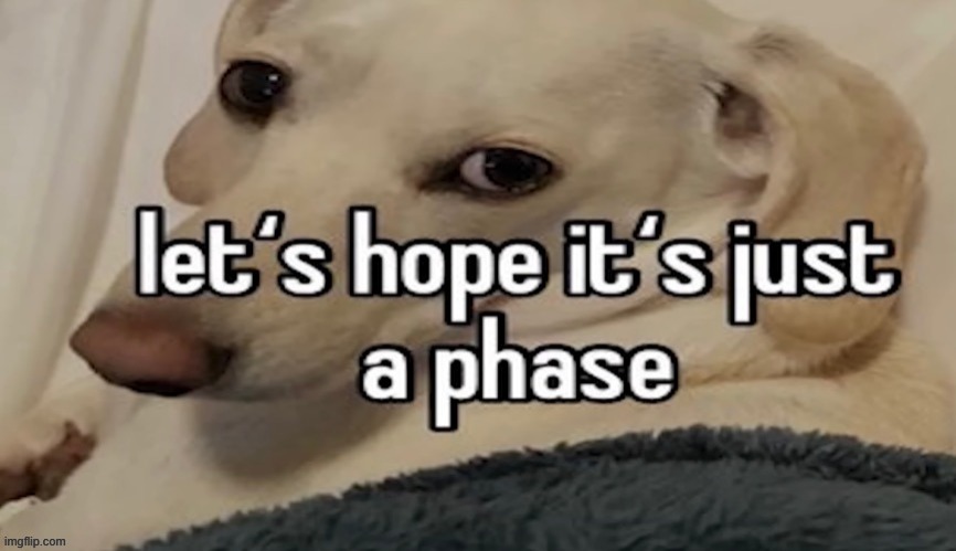 let's hope it's just a phase | image tagged in let's hope it's just a phase | made w/ Imgflip meme maker