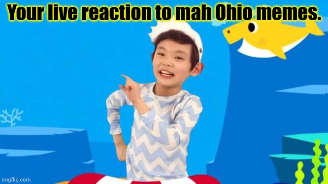 baby shark | Your live reaction to mah Ohio memes. | image tagged in baby shark | made w/ Imgflip meme maker