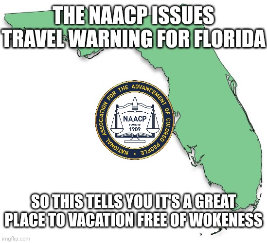 They push propaganda | THE NAACP ISSUES TRAVEL WARNING FOR FLORIDA; SO THIS TELLS YOU IT'S A GREAT PLACE TO VACATION FREE OF WOKENESS | image tagged in florida,democrats,woke,liberals | made w/ Imgflip meme maker