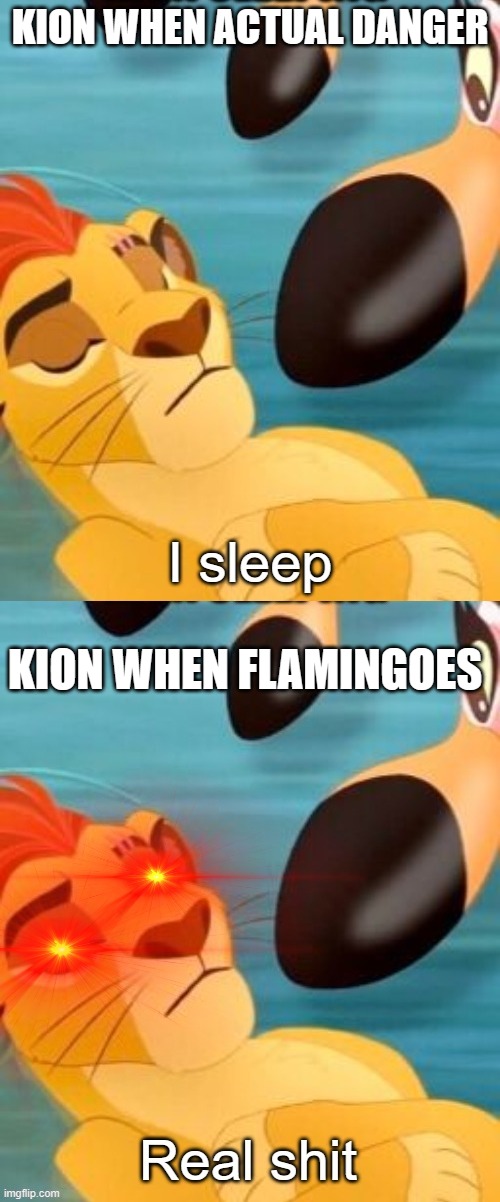 Sleeping Kion | KION WHEN ACTUAL DANGER; KION WHEN FLAMINGOES | image tagged in sleeping kion | made w/ Imgflip meme maker