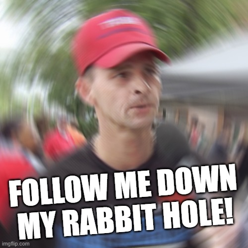 down the ol' rabbit hole... | FOLLOW ME DOWN MY RABBIT HOLE! | image tagged in rabbit,hole,it's a conspiracy,trump supporters | made w/ Imgflip meme maker
