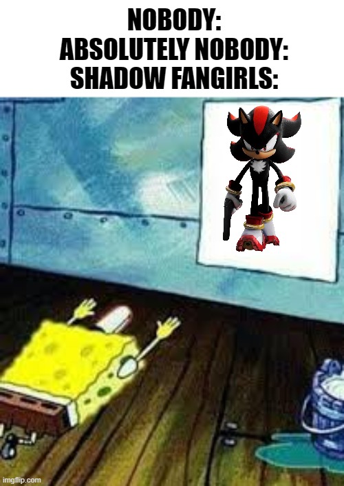For Real- | NOBODY:
ABSOLUTELY NOBODY:
SHADOW FANGIRLS: | image tagged in spongebob worship,fangirls,shadow the hedgehog | made w/ Imgflip meme maker