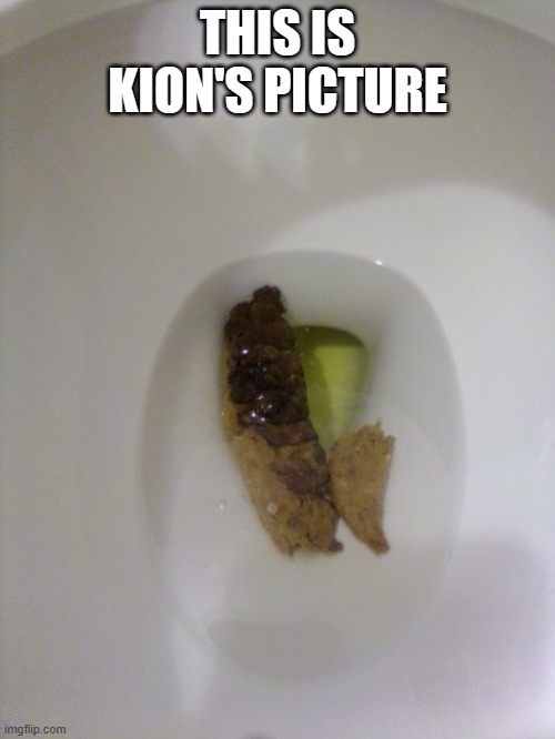 Poop in the toilet | THIS IS KION'S PICTURE | image tagged in poop in the toilet | made w/ Imgflip meme maker