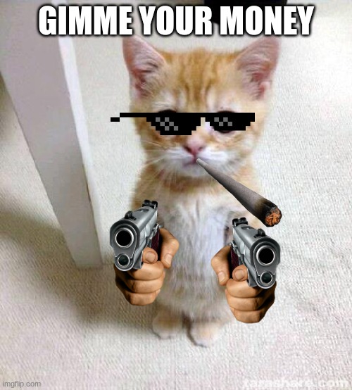 Gimme your money | GIMME YOUR MONEY | image tagged in memes,cute cat | made w/ Imgflip meme maker
