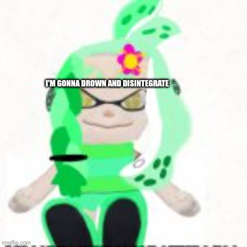 Low quality image of a mint houzuki plush | I'M GONNA DROWN AND DISINTEGRATE | image tagged in low quality image of a mint houzuki plush | made w/ Imgflip meme maker