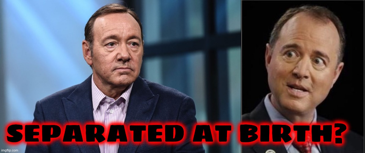 SEPARATED AT BIRTH? | image tagged in kevin spacey,adam schiff | made w/ Imgflip meme maker