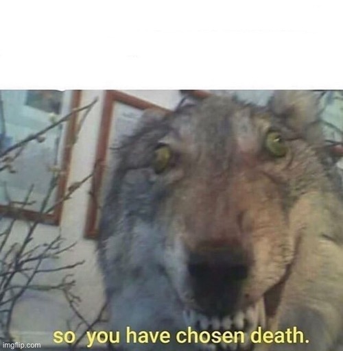 so you have chosen death | image tagged in so you have chosen death | made w/ Imgflip meme maker