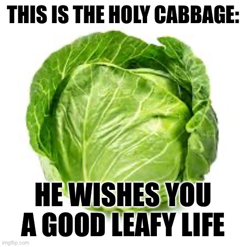 THIS IS THE HOLY CABBAGE:; HE WISHES YOU A GOOD LEAFY LIFE | image tagged in cabbage,holy | made w/ Imgflip meme maker