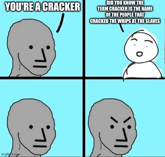 NPC Meme | DID YOU KNOW THE TERM CRACKER IS THE NAME OF THE PEOPLE THAT CRACKED THE WHIPS AT THE SLAVES; YOU'RE A CRACKER | image tagged in npc meme | made w/ Imgflip meme maker