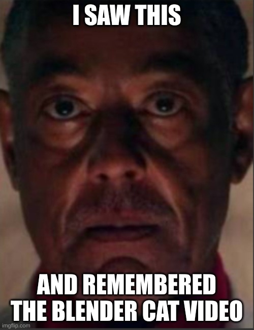 Gus fring | I SAW THIS AND REMEMBERED THE BLENDER CAT VIDEO | image tagged in gus fring | made w/ Imgflip meme maker