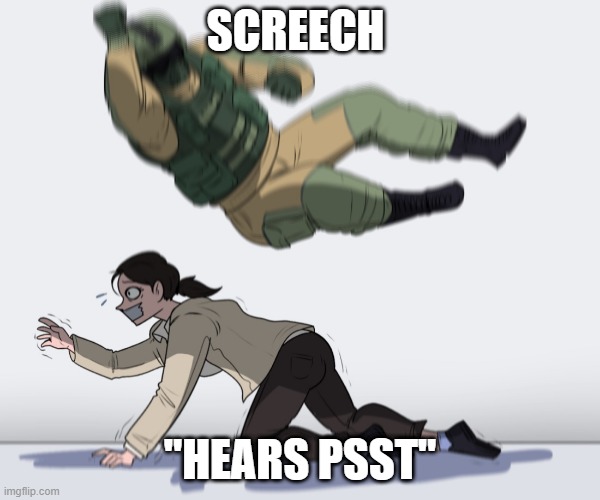 Doors meme | SCREECH; "HEARS PSST" | image tagged in rainbow six - fuze the hostage | made w/ Imgflip meme maker