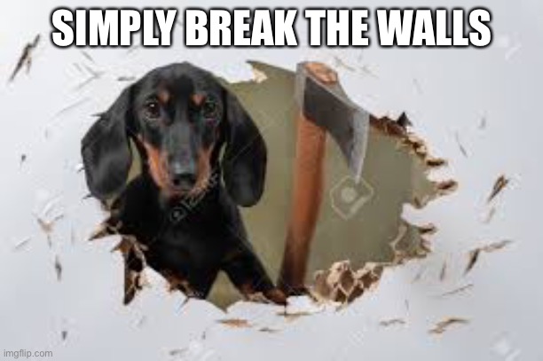 SIMPLY BREAK THE WALLS | made w/ Imgflip meme maker