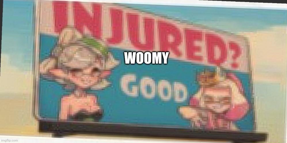 Splatoon | WOOMY | image tagged in splatoon | made w/ Imgflip meme maker