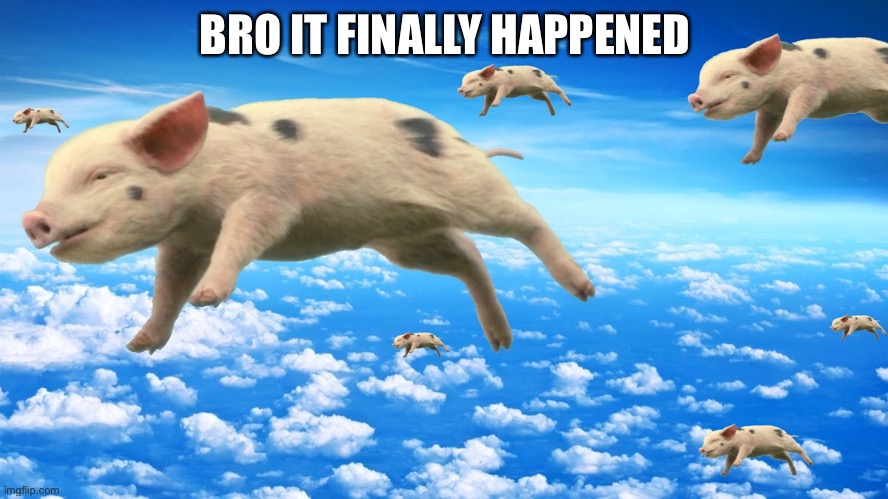 they thought it would never happen | BRO IT FINALLY HAPPENED | image tagged in when pigs fly,pigs,memes | made w/ Imgflip meme maker