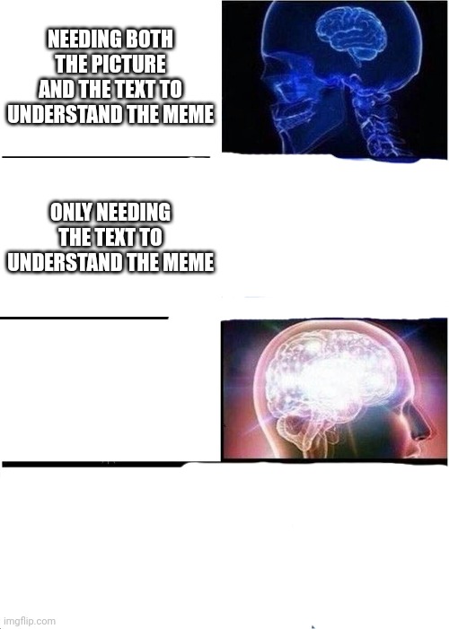 Expanding Brain | NEEDING BOTH THE PICTURE AND THE TEXT TO UNDERSTAND THE MEME; ONLY NEEDING THE TEXT TO UNDERSTAND THE MEME | image tagged in memes,expanding brain | made w/ Imgflip meme maker
