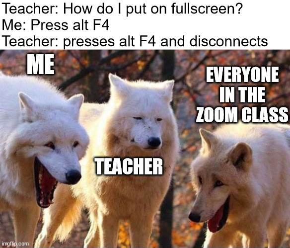 alt f4 | Teacher: How do I put on fullscreen?
Me: Press alt F4
Teacher: presses alt F4 and disconnects; ME; EVERYONE IN THE ZOOM CLASS; TEACHER | image tagged in laughing wolf,teacher,zoom,me,alt f4,school | made w/ Imgflip meme maker