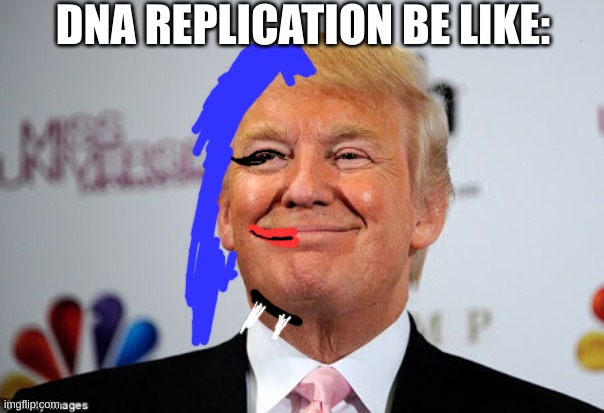 Get it Semi Conservative Replication??? | DNA REPLICATION BE LIKE: | image tagged in donald trump approves | made w/ Imgflip meme maker