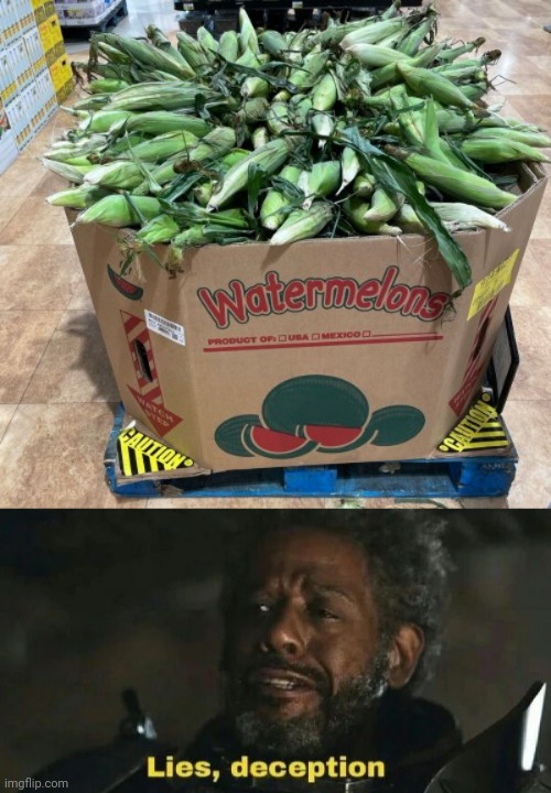Not watermelons | image tagged in sw lies deception,you had one job,memes,watermelons,not really watermelons,food | made w/ Imgflip meme maker