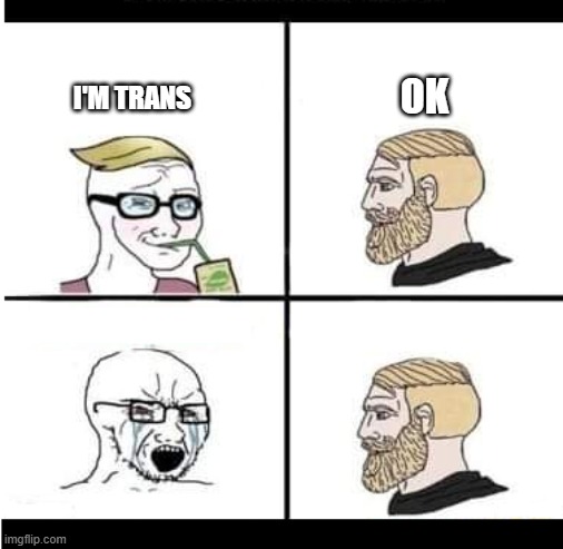 Trans freakout | OK; I'M TRANS | image tagged in trans talking to western man,trans | made w/ Imgflip meme maker