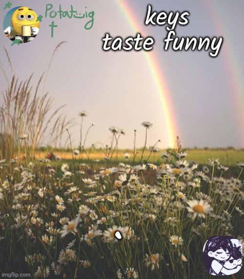 cereal | keys taste funny; . | image tagged in cereal | made w/ Imgflip meme maker