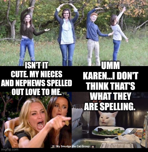 UMM KAREN...I DON'T THINK THAT'S WHAT THEY ARE SPELLING. ISN'T IT CUTE. MY NIECES AND NEPHEWS SPELLED OUT LOVE TO ME. | image tagged in smudge the cat | made w/ Imgflip meme maker