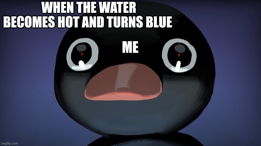 Terrified Noot Noot | WHEN THE WATER BECOMES HOT AND TURNS BLUE; ME | image tagged in terrified noot noot,hot water,blue | made w/ Imgflip meme maker
