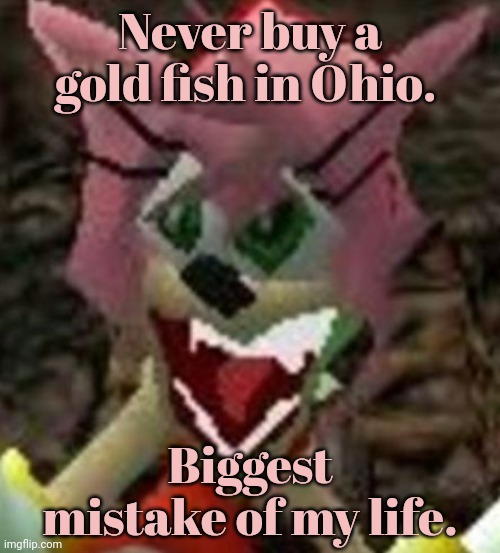 Only in Ohio | Never buy a gold fish in Ohio. Biggest mistake of my life. | image tagged in only in ohio,amy rose,is now,a goldfish,ohio | made w/ Imgflip meme maker
