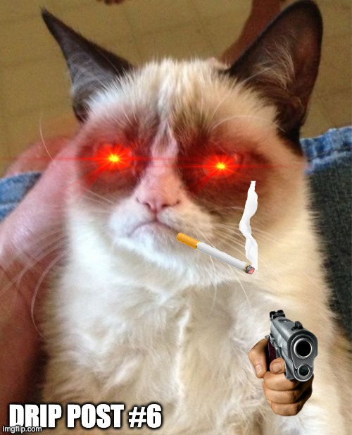 drip post #6 | DRIP POST #6 | image tagged in memes,grumpy cat | made w/ Imgflip meme maker