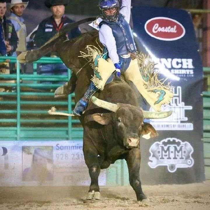 High Quality Bull Riding Blank Meme Template