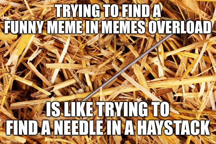 Now here’s a challenge for you | TRYING TO FIND A FUNNY MEME IN MEMES OVERLOAD; IS LIKE TRYING TO FIND A NEEDLE IN A HAYSTACK | image tagged in needle in a haystack | made w/ Imgflip meme maker