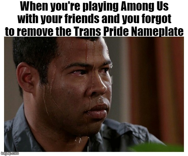 I'm probably the only one | When you're playing Among Us with your friends and you forgot to remove the Trans Pride Nameplate | image tagged in jordan peele sweating | made w/ Imgflip meme maker