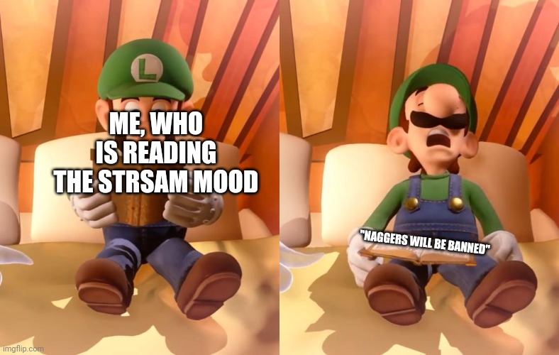 Expalin the mood if you will | ME, WHO IS READING THE STRSAM MOOD; "NAGGERS WILL BE BANNED" | image tagged in luigi reading | made w/ Imgflip meme maker