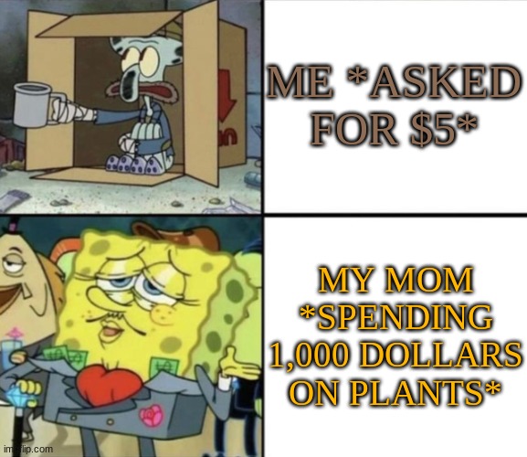 In the life of a crazy plant lady | ME *ASKED FOR $5*; MY MOM *SPENDING 1,000 DOLLARS ON PLANTS* | image tagged in poor squidward vs rich spongebob | made w/ Imgflip meme maker