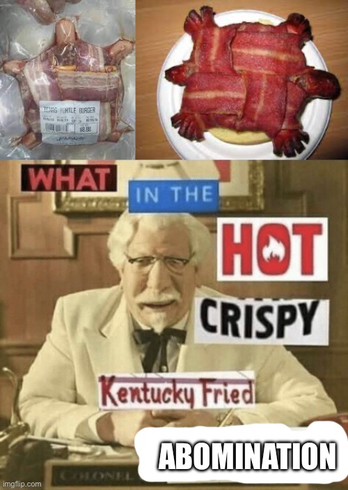 Turtle Burger? | ABOMINATION | image tagged in what in the hot crispy kentucky fried frick,burger,turtle,bacon,hot dog | made w/ Imgflip meme maker