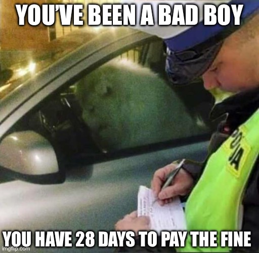 Bad dog | YOU’VE BEEN A BAD BOY; YOU HAVE 28 DAYS TO PAY THE FINE | image tagged in cop writing ticket for dog in cars,sad,bad | made w/ Imgflip meme maker