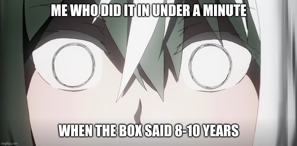 ME WHO DID IT IN UNDER A MINUTE WHEN THE BOX SAID 8-10 YEARS | made w/ Imgflip meme maker