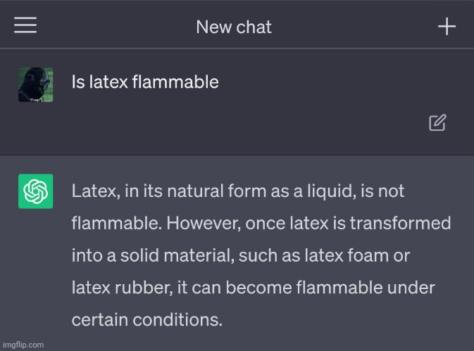 If a latex furry is in its solid state it is susceptible to fire | made w/ Imgflip meme maker