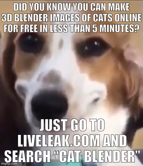 Bttb dog | DID YOU KNOW YOU CAN MAKE 3D BLENDER IMAGES OF CATS ONLINE FOR FREE IN LESS THAN 5 MINUTES? JUST GO TO LIVELEAK.COM AND SEARCH “CAT BLENDER” | image tagged in bttb dog | made w/ Imgflip meme maker