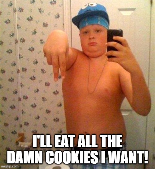 fat gangster kid | I'LL EAT ALL THE DAMN COOKIES I WANT! | image tagged in fat kid,gangsta,cookie monster,tryhard,brooklyn,westside | made w/ Imgflip meme maker