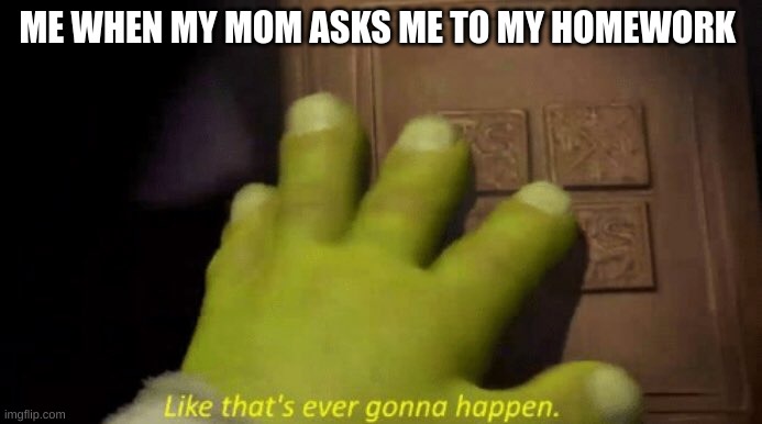 Sometimes I do this | ME WHEN MY MOM ASKS ME TO MY HOMEWORK | image tagged in like that's ever gonna happen,funny,why,moms,lol,memes | made w/ Imgflip meme maker