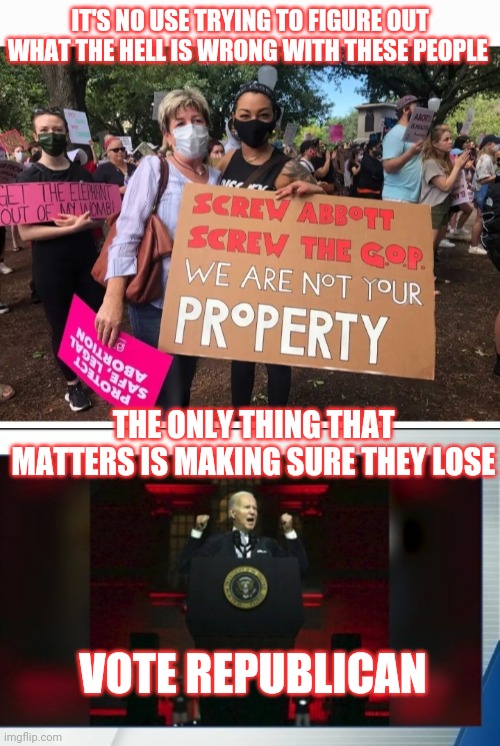 Lunatics | IT'S NO USE TRYING TO FIGURE OUT WHAT THE HELL IS WRONG WITH THESE PEOPLE; THE ONLY THING THAT MATTERS IS MAKING SURE THEY LOSE; VOTE REPUBLICAN | image tagged in libtard,lunatic,you're fired,vote,republican party,vote trump | made w/ Imgflip meme maker