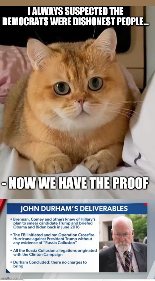 Kitty Knows | I ALWAYS SUSPECTED THE DEMOCRATS WERE DISHONEST PEOPLE... - NOW WE HAVE THE PROOF | image tagged in lying,democrats,you're fired,vote,republican party,vote trump | made w/ Imgflip meme maker