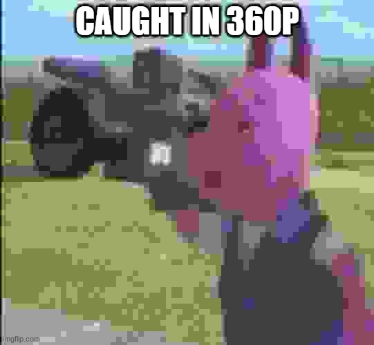 caught in 360p | image tagged in caught in 360p | made w/ Imgflip meme maker
