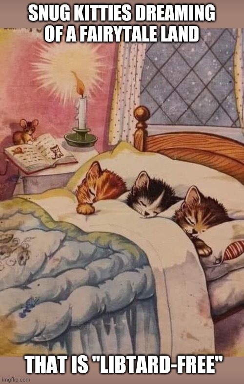 Snug Kitties | SNUG KITTIES DREAMING OF A FAIRYTALE LAND; THAT IS "LIBTARD-FREE" | image tagged in oh no,libtards,vote,republican,happy,kitties | made w/ Imgflip meme maker