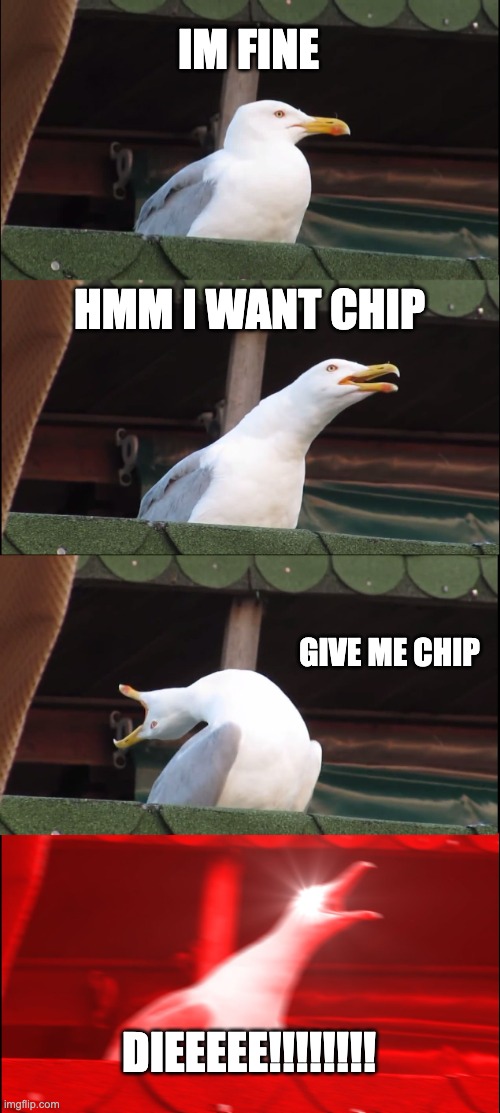 Inhaling Seagull | IM FINE; HMM I WANT CHIP; GIVE ME CHIP; DIEEEEE!!!!!!!! | image tagged in memes,inhaling seagull | made w/ Imgflip meme maker