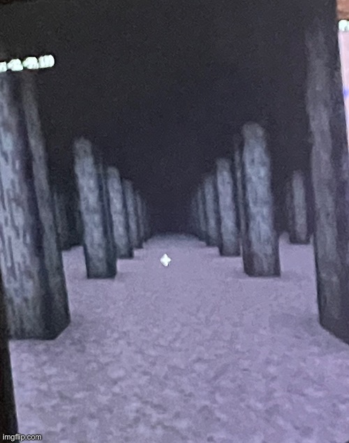 Made this liminal space. My bad camera quality made it better | image tagged in minecraft | made w/ Imgflip meme maker