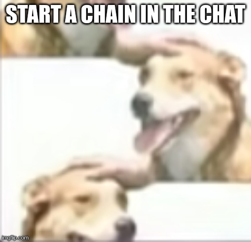 start a chain | START A CHAIN IN THE CHAT | image tagged in start a chain | made w/ Imgflip meme maker