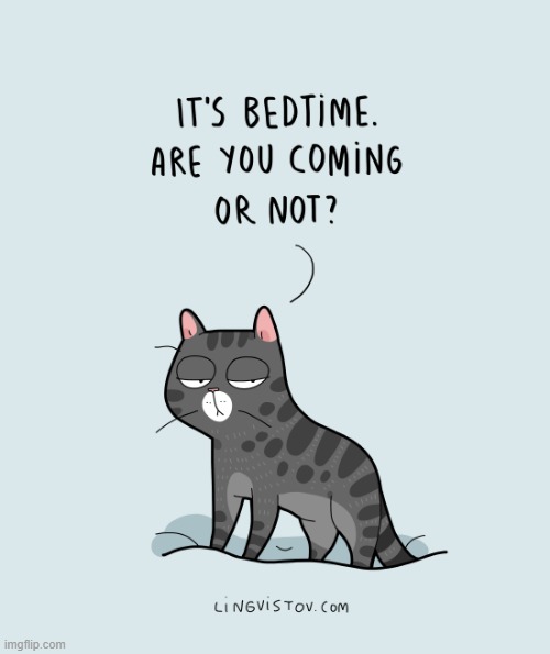 A Cat's Way Of Thinking | image tagged in memes,comics/cartoons,cats,bedtime,you,coming | made w/ Imgflip meme maker