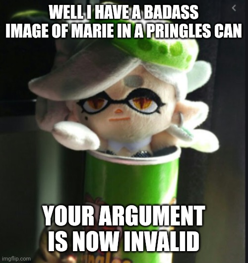 Marie pringles | WELL I HAVE A BADASS IMAGE OF MARIE IN A PRINGLES CAN YOUR ARGUMENT IS NOW INVALID | image tagged in marie pringles | made w/ Imgflip meme maker